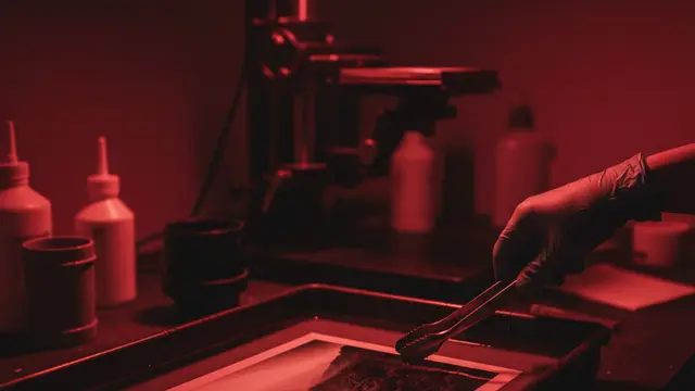 Fotografia: o valor redescoberto da impressão analógica