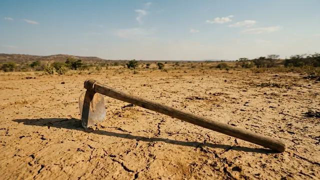 Transição climática exige foco na renda rural — não apenas em carbono