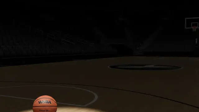 WNBA: A nova fronteira da remuneração não está no salário