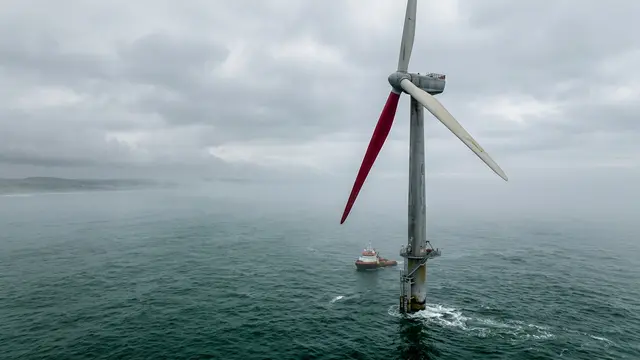 Vestas testa pás vermelhas em turbinas eólicas — a busca por harmonia com a biodiversidade