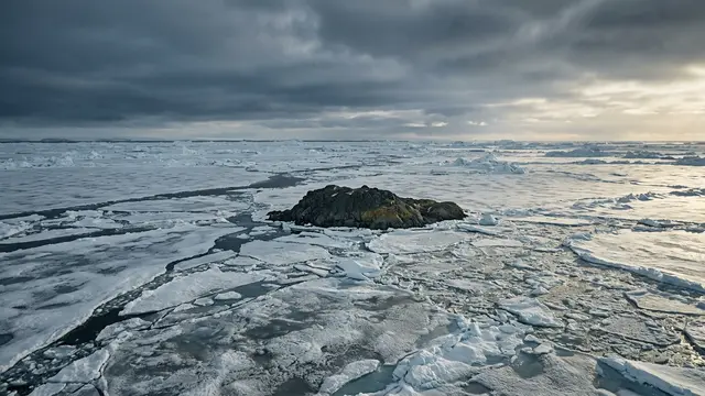 Descoberta de ilha na Antártida revela falhas na cartografia global — e o impacto do degelo