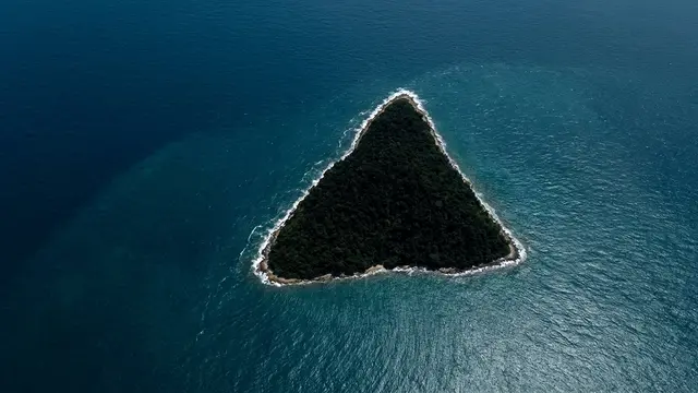 Ilha Vostok viraliza no Google Maps — mas a explicação é botânica