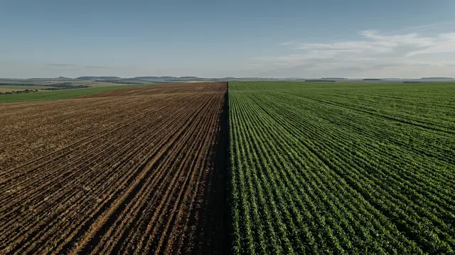 SLC Agrícola mira ROE de 20% com expansão via arrendamento
