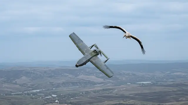 Cegonha ucraniana expõe fragilidade técnica de drones russos em manobra aérea