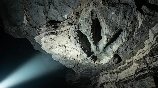 Paleontólogos encontram pegadas de dinossauros no teto de caverna na França