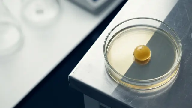 Ciência da crononutrição indica o melhor momento para a primeira refeição
