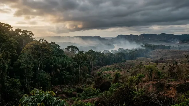 Amazônia se aproxima de ponto de ruptura — estudo detalha risco de colapso sistêmico e valor da preservação