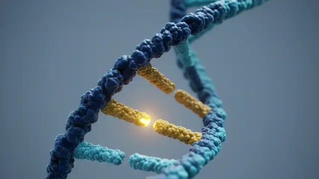 Macondo: o gene que pode reescrever o roteiro do Alzheimer