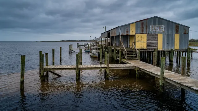 Elevação do nível do mar ameaça futuro da pesca na Louisiana