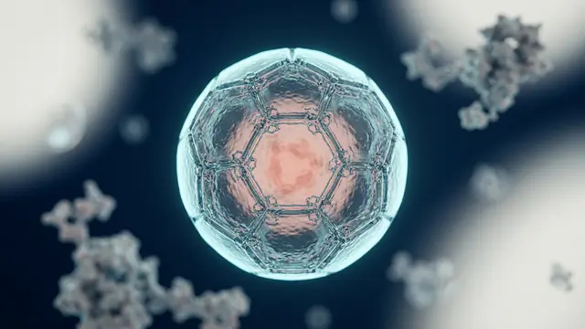 Laboratório de David Baker avança na criação de cápsulas proteicas para terapias genéticas