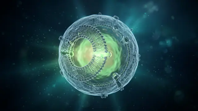 Pesquisadores do MIT criam sensores de MRI com sensibilidade dez vezes maior