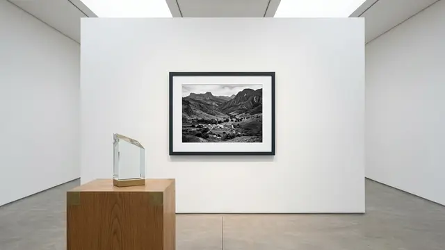 Paula Cooper e a fotografia de Martin Parr — a arte que resiste ao tempo