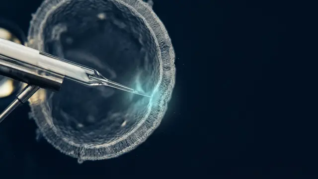 Ferramentas CRISPR de nova geração elevam precisão em embriões humanos — e reacendem dilemas éticos