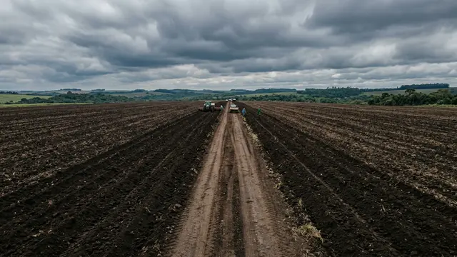 SLC Agrícola enfrenta ceticismo do mercado após compra de R$ 1,85 bilhão em terras