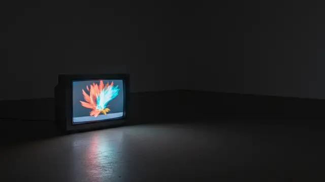 A pintora que viu a alma da televisão