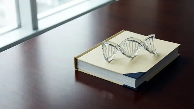 Titãs da IA pressionam Congresso americano por salvaguardas em DNA