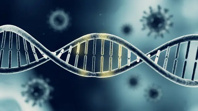 DNA neandertal eleva carga viral em humanos — revelam novos dados genéticos