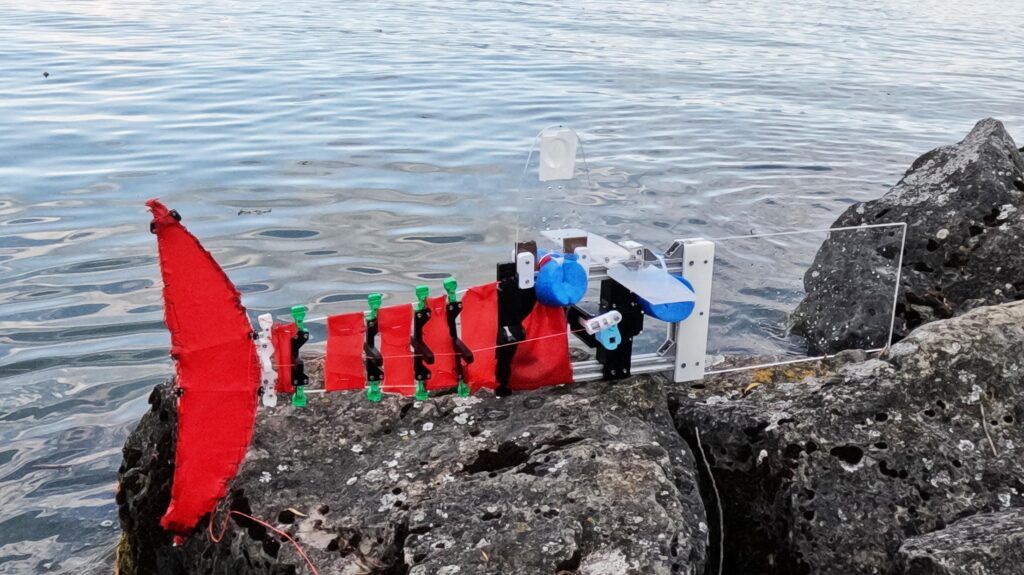 Robô peixe escalável da EPFL nada em rios e lagos