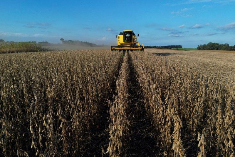 Leilões de fazendas disparam 30% com inadimplência recorde no campo