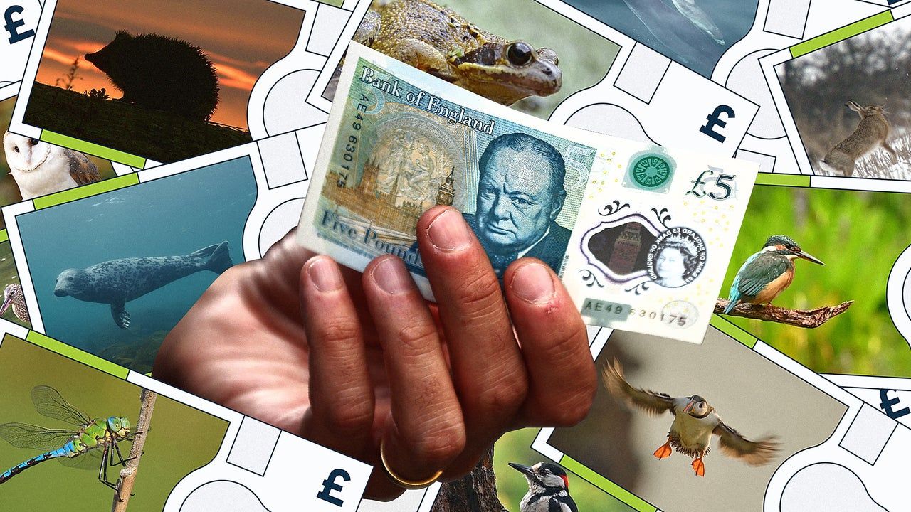 Bank of England consulta público sobre trocar figuras históricas por fauna local — e abre debate sobre identidade