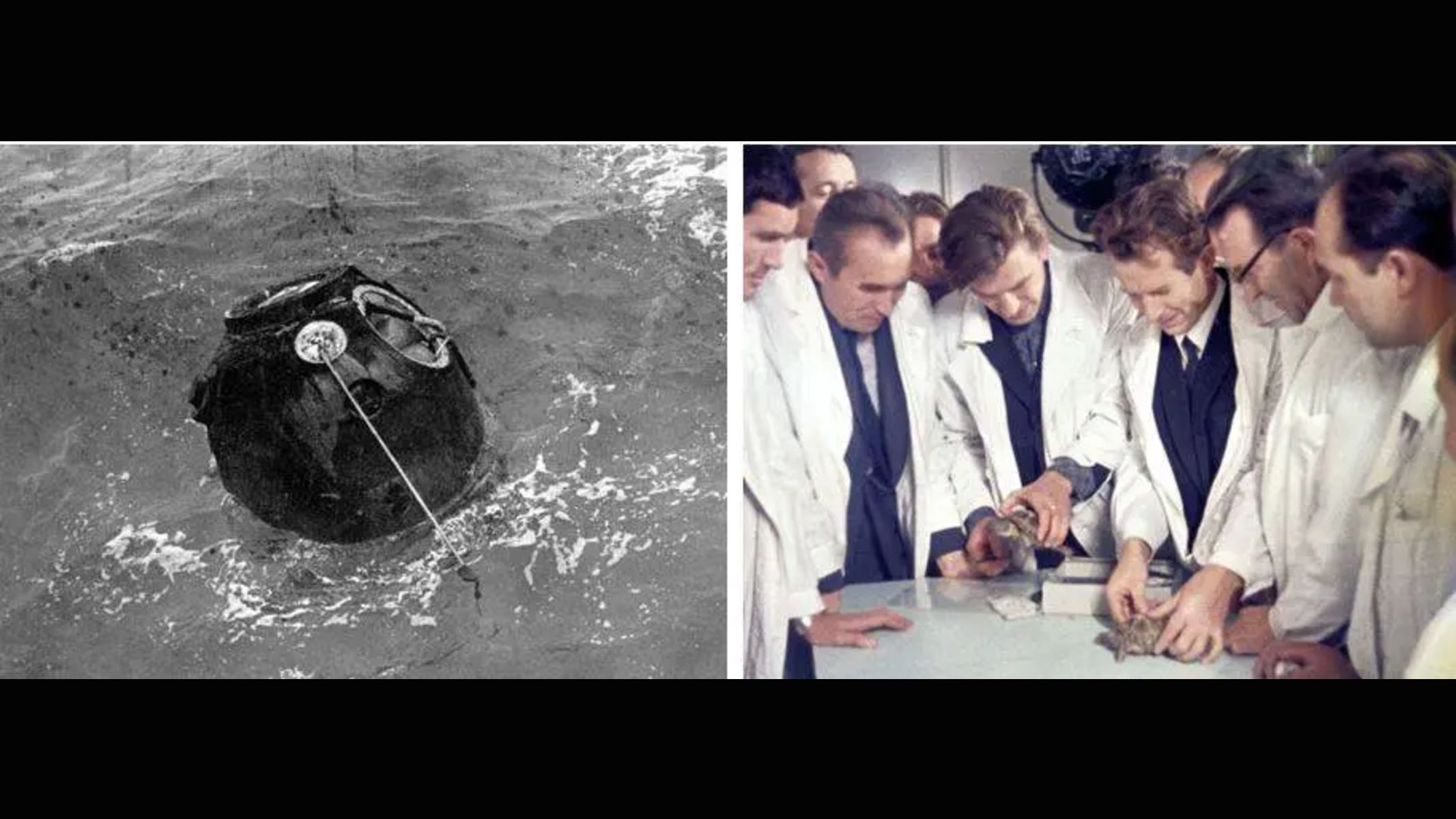 Antes dos astronautas, as tartarugas soviéticas