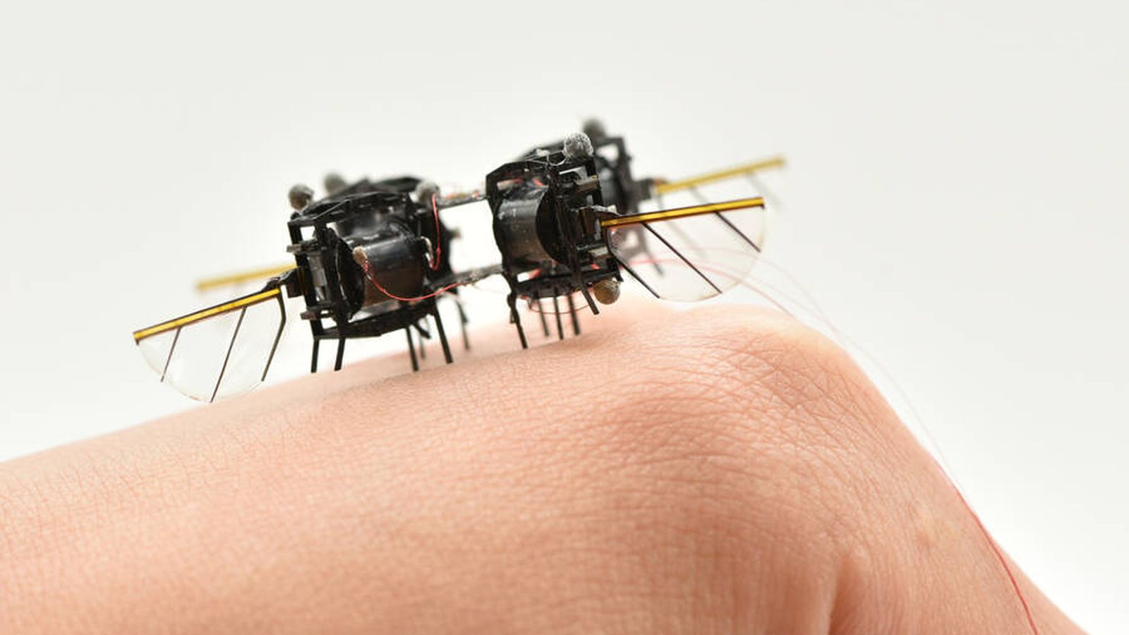 Robôs minúsculos ganham autonomia com pele que gera eletricidade ao andar