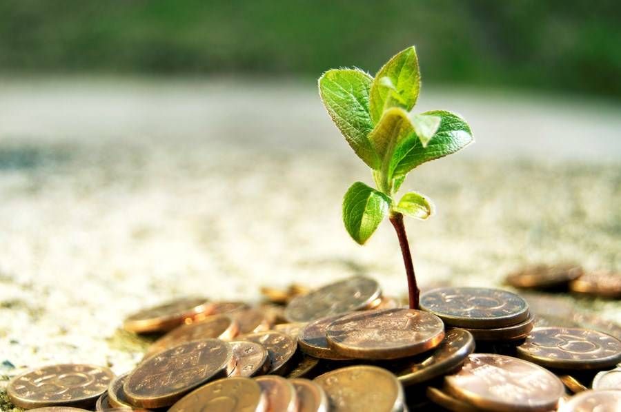 Climate tech: o Brasil tem a mão, mas não paga para ver