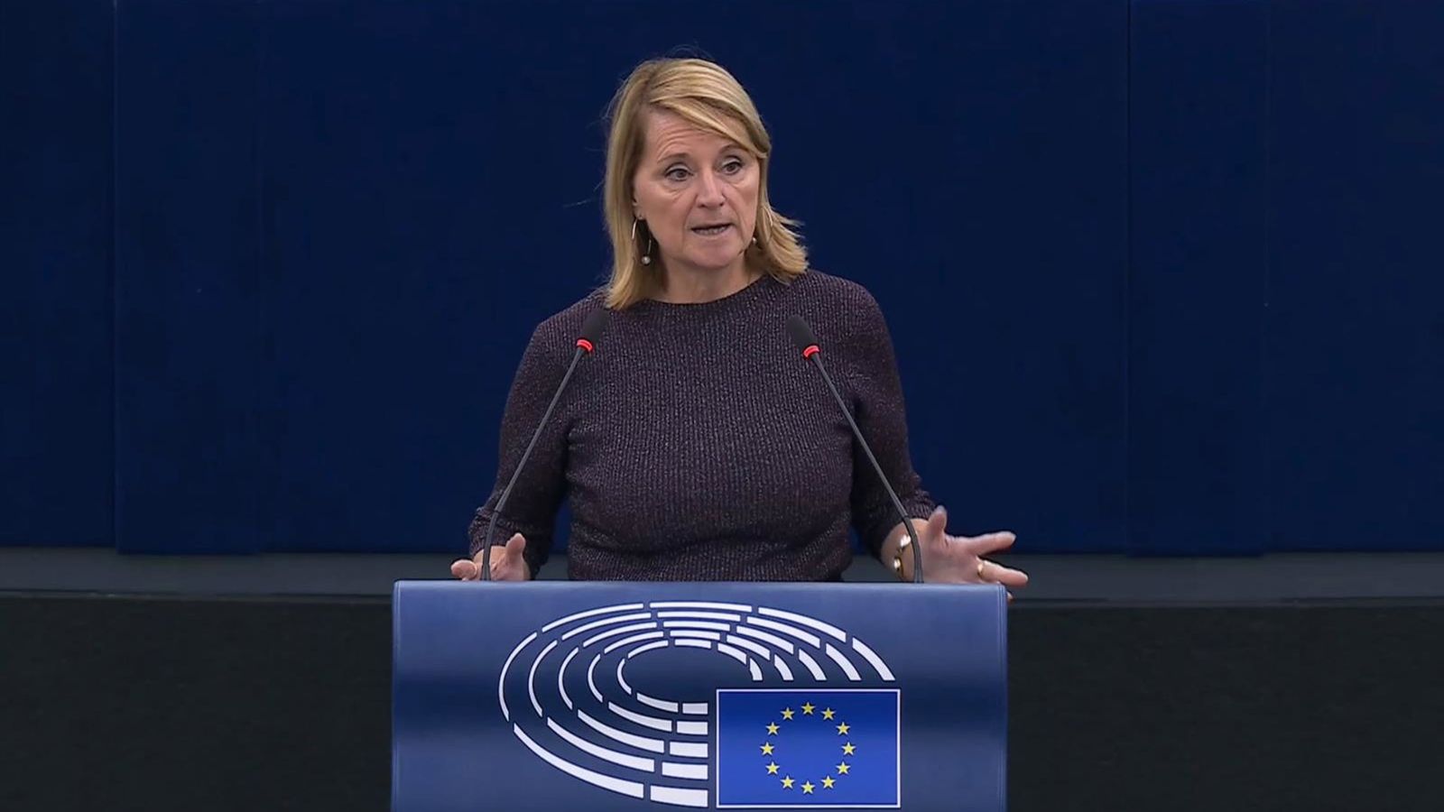 PP exige à UE compensação por ilhas e visão de regiões ultraperiféricas
