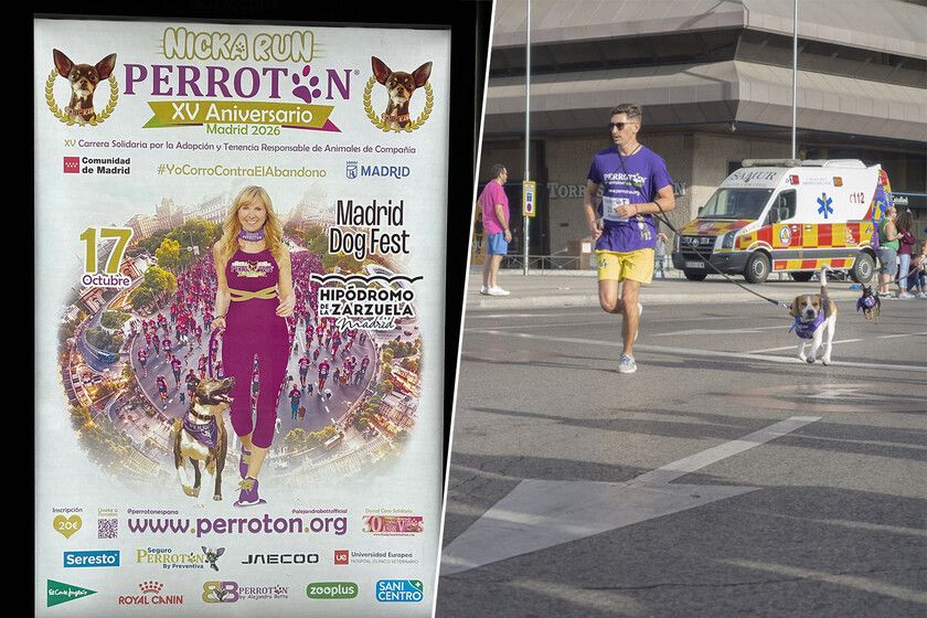 No hipódromo de Madrid, a nova elite corre de quatro patas