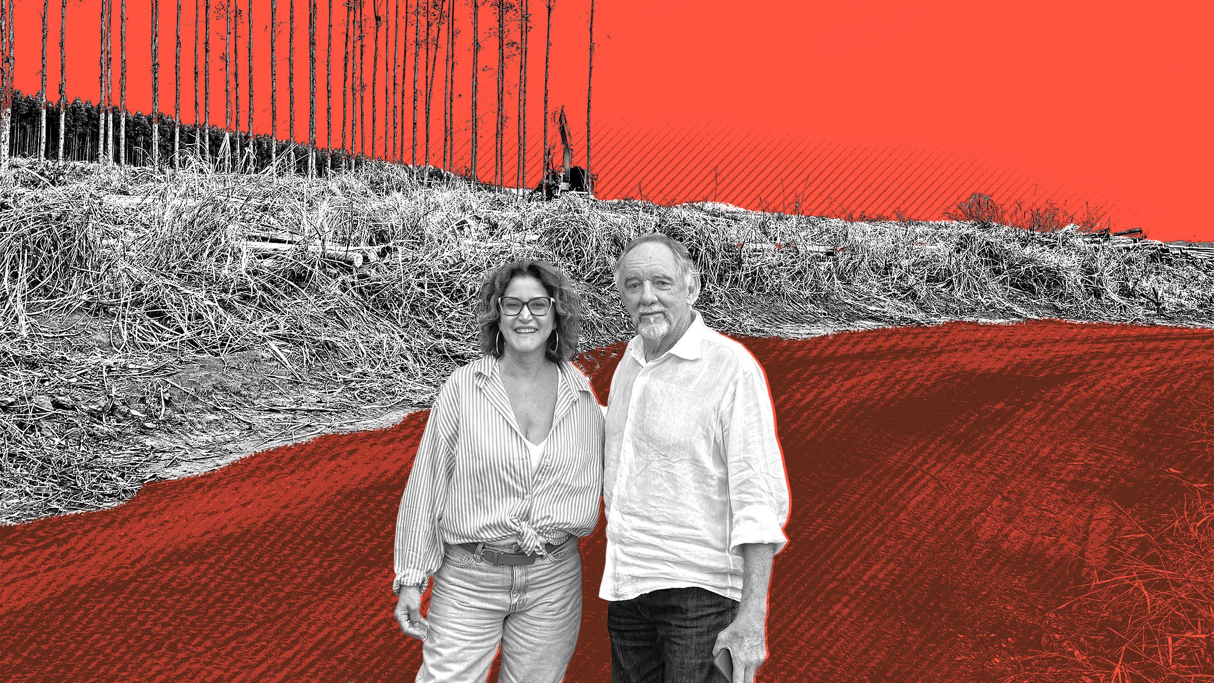 Economistas desenham fundo para destravar R$ 12 bi em crédito verde para o agro