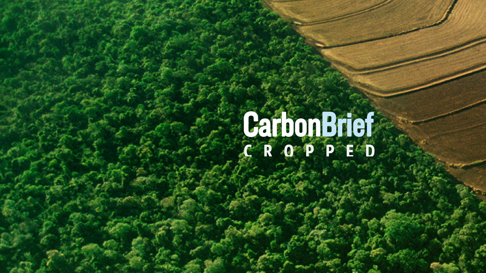 Remoção de CO2 precisa quadruplicar até 2050 para atingir metas do Acordo de Paris