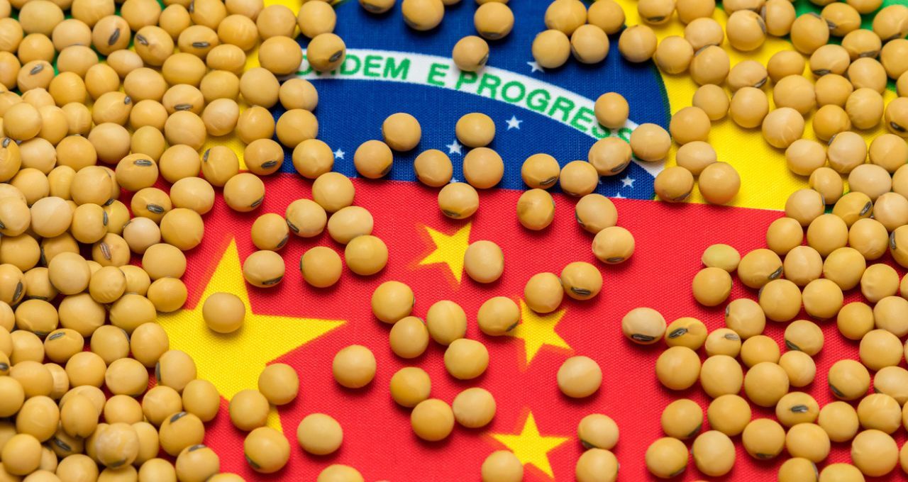 China sinaliza autossuficiência alimentar — o que esperar das exportações brasileiras
