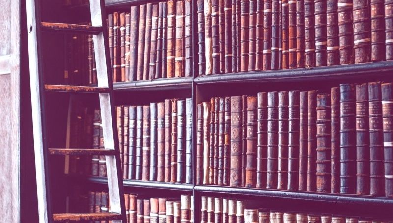 Ficção histórica resgata vozes apagadas e redefine a narrativa oficial