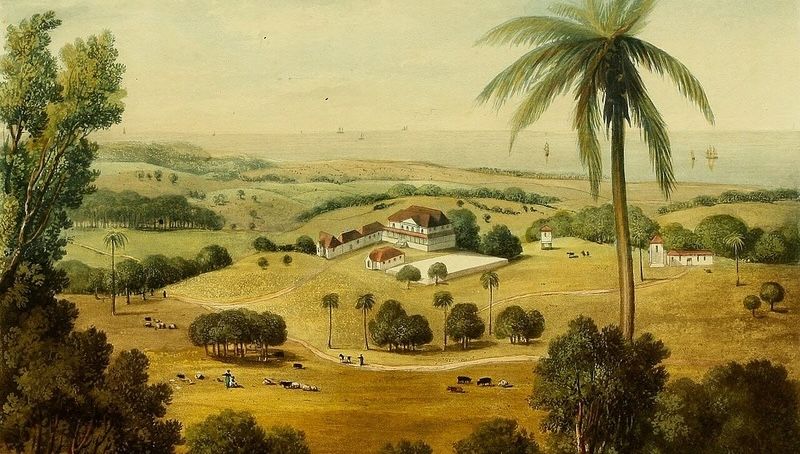 A trajetória de exclusão que moldou a saúde global — e o peso do apagamento histórico