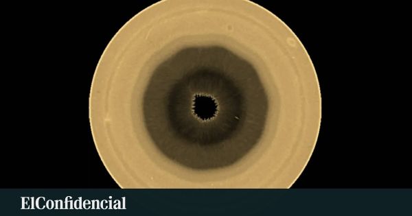 O outro polígono de Saturno: um decágono no polo sul