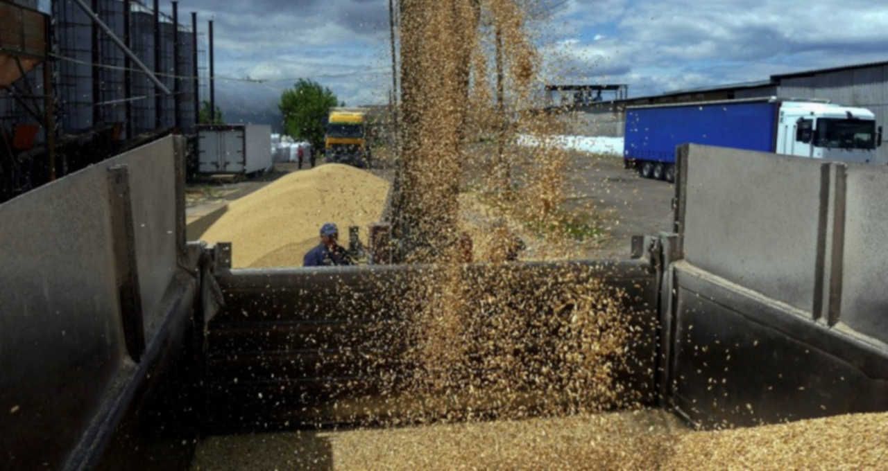 Ataques russos ameaçam cortar exportações de grãos da Ucrânia em 30%