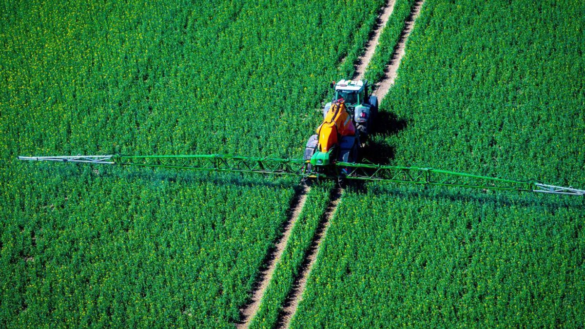 UE aperta regras para pesticidas em alimentos importados