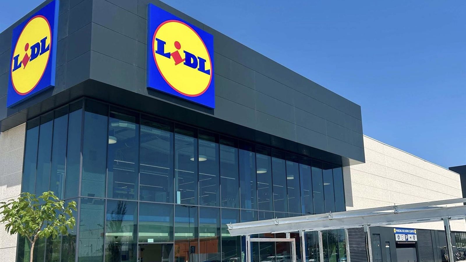 Lidl cresce 10% na Espanha e anuncia R$ 2,5 bi em investimentos para 2026