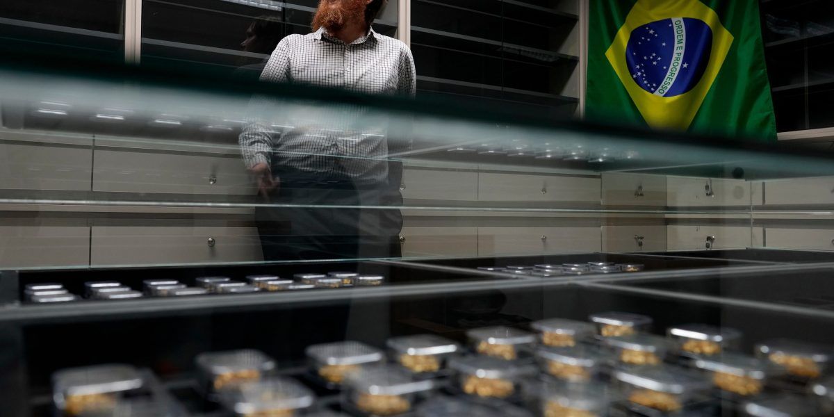 A PF aperta o cerco ao garimpo com o 'DNA do ouro'