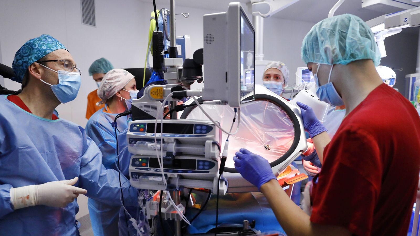 Placenta artificial de Barcelona sustenta desenvolvimento fetal por 21 dias