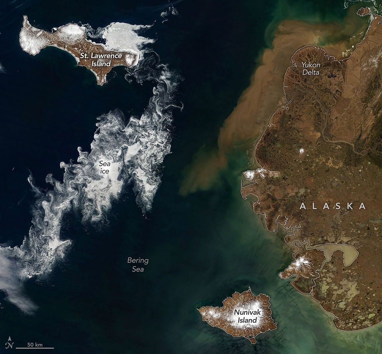 Satélites da NASA detectam degelo acelerado no Mar de Bering — o que os dados revelam