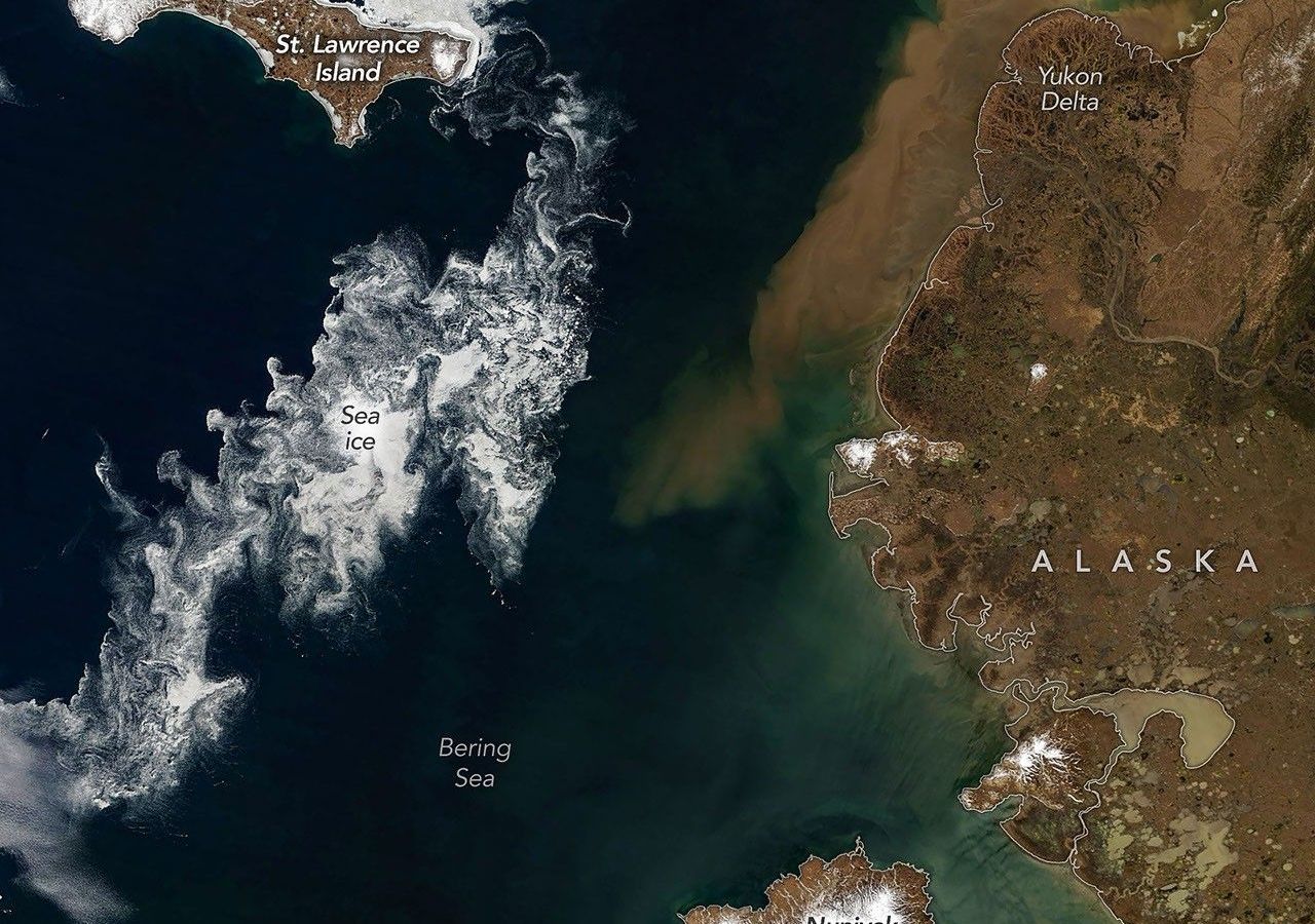 Satélites da NASA detectam degelo acelerado no Mar de Bering — o que os dados revelam