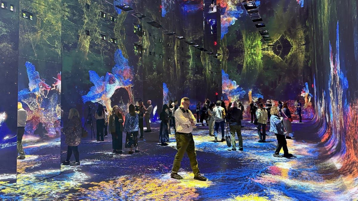 Dataland e o dilema da arte gerada por IA em espaços expositivos