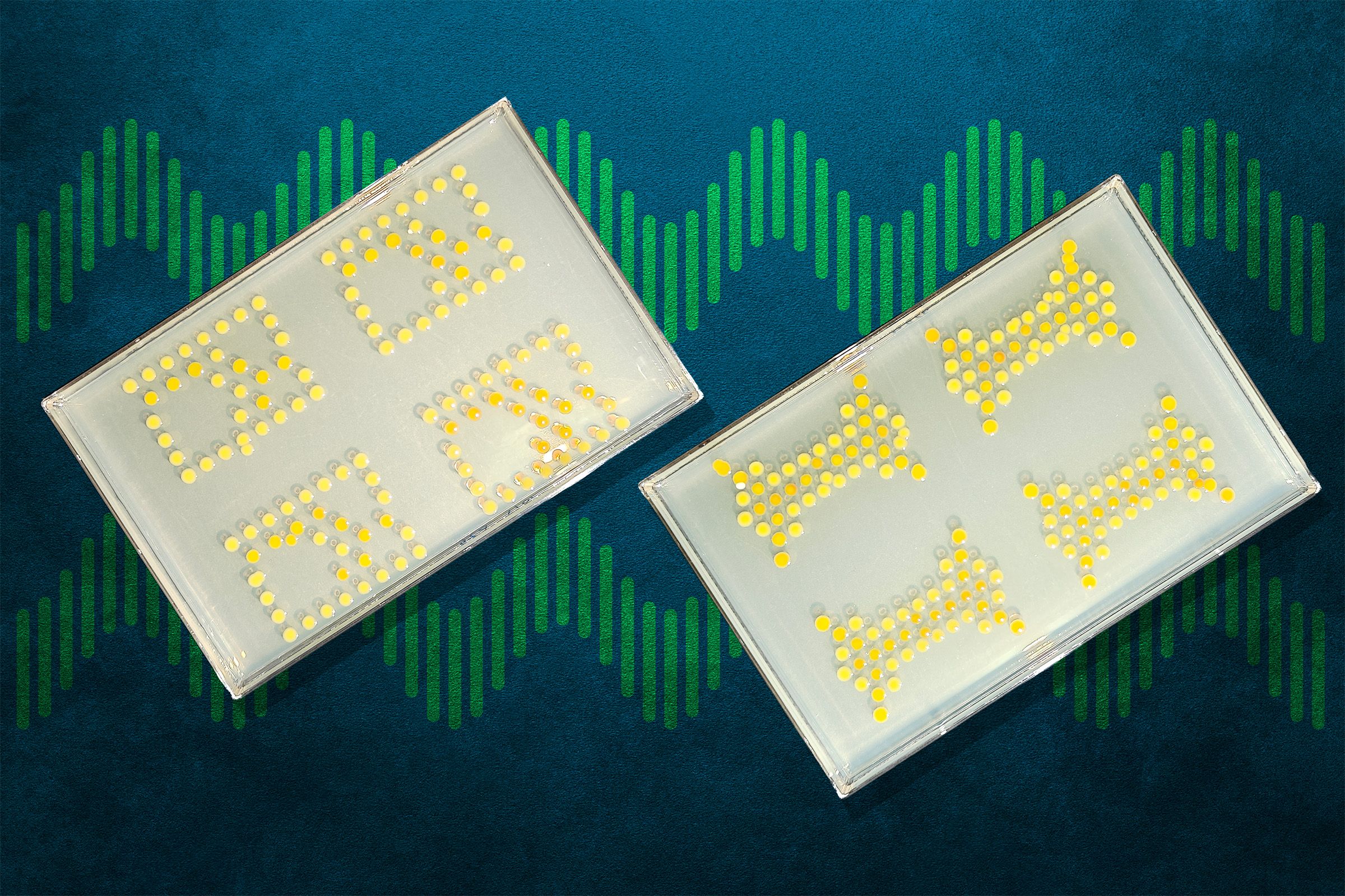 O próximo chip do MIT é uma bactéria