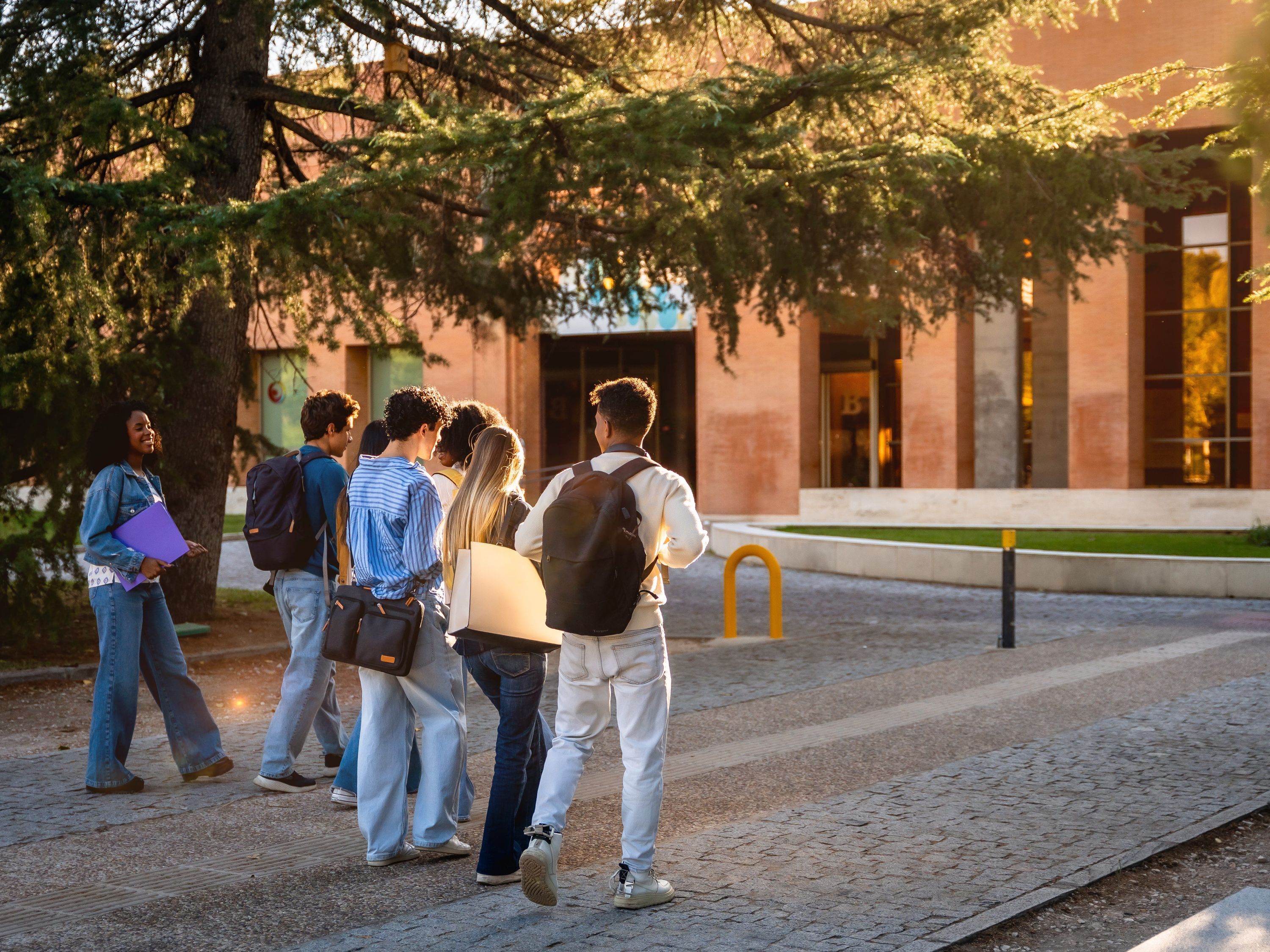 Educação e Saúde: os cursos universitários mais resistentes à IA
