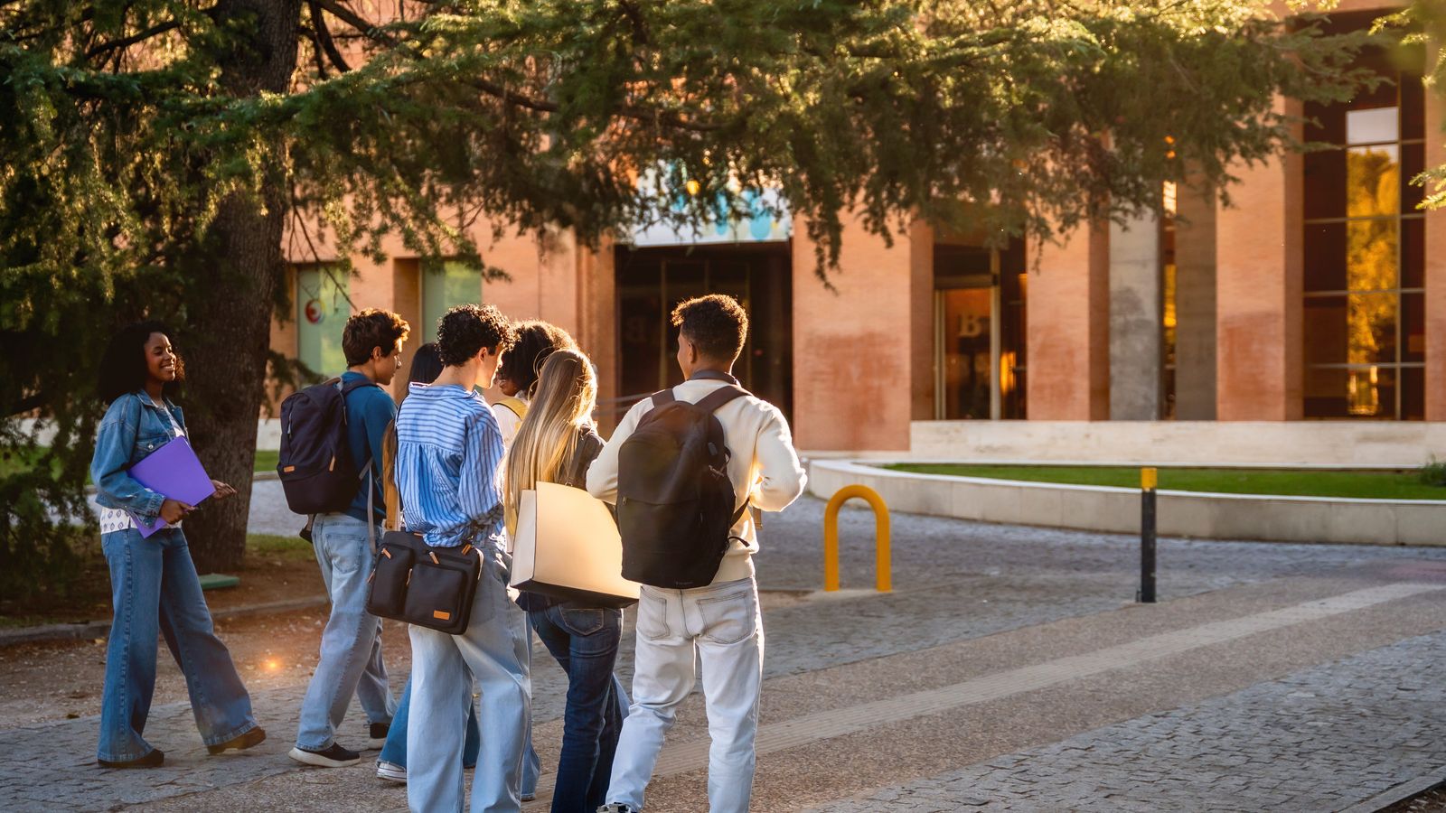 Educação e Saúde: os cursos universitários mais resistentes à IA