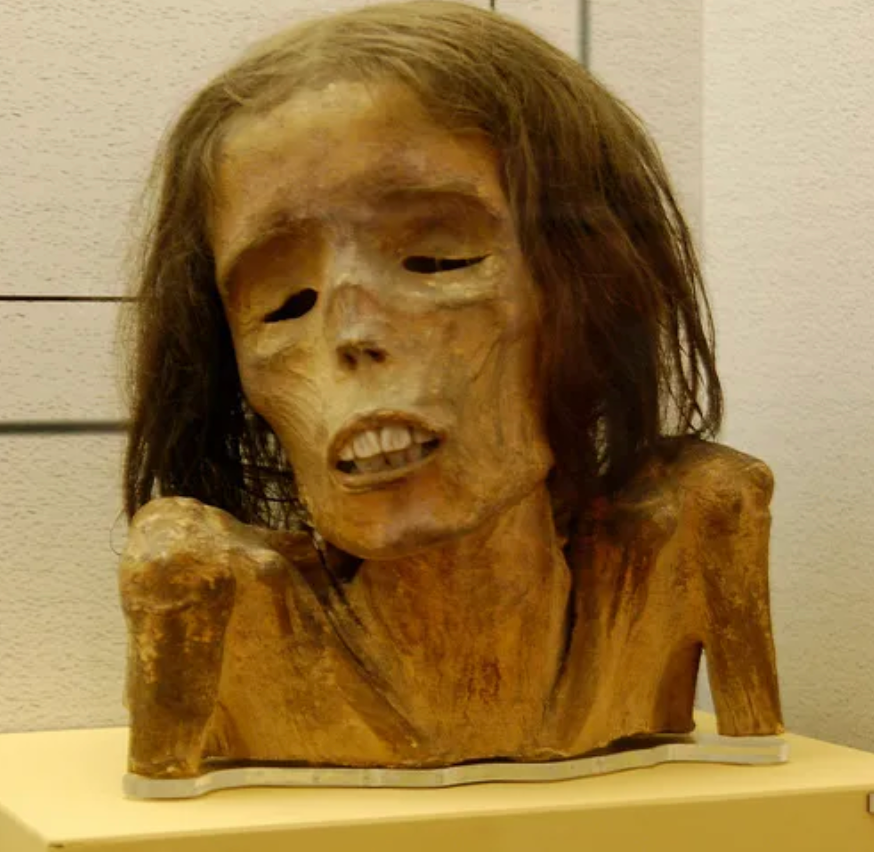 Relíquias e Curiosidades: O Fascínio Humano por Partes Preservadas