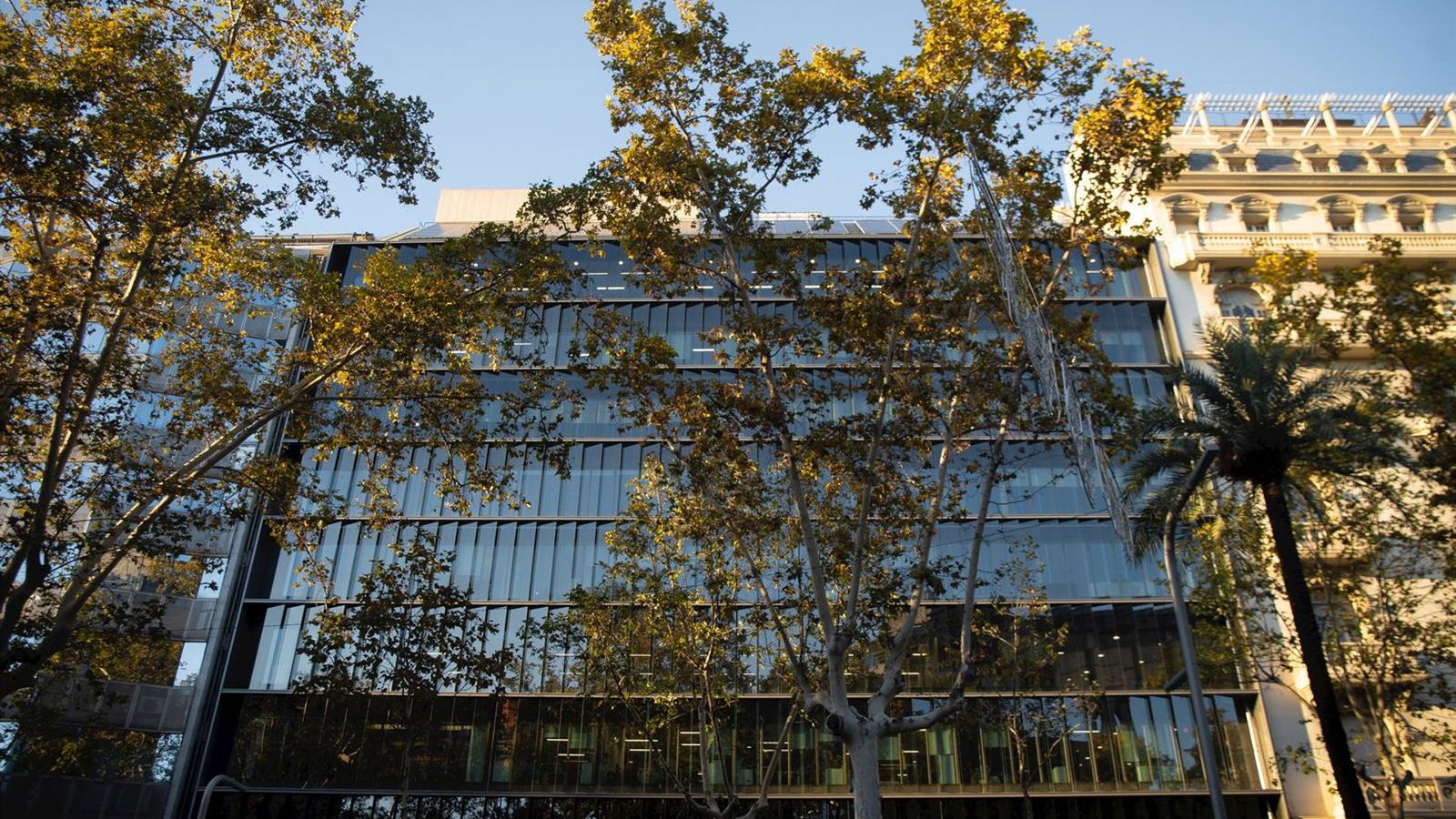 Moody’s e S&P reafirmam grau de investimento da Colonial