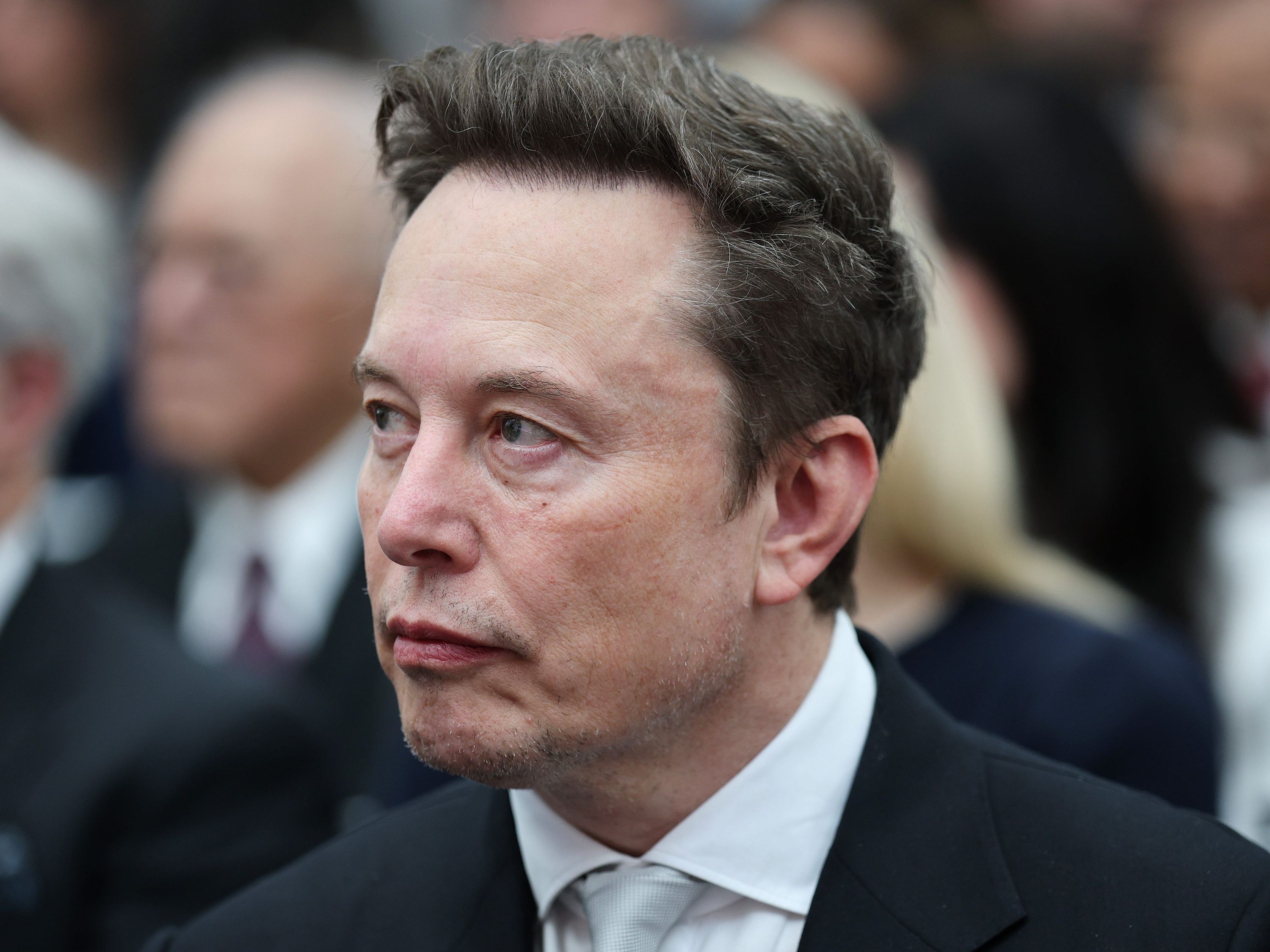 Musk prevê 'morte guppy' para neoclouds e descarta compra pela SpaceX