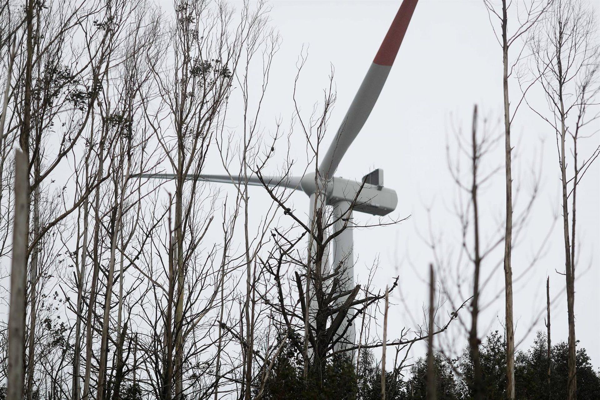 Espanha atinge 60% de energia renovável e supera média da União Europeia